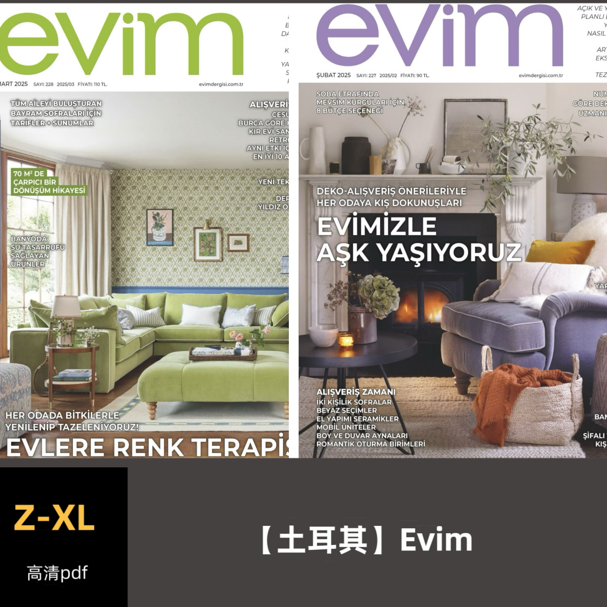 品界设计资料-土耳其Evim 2022-2025合集高清pdf素材