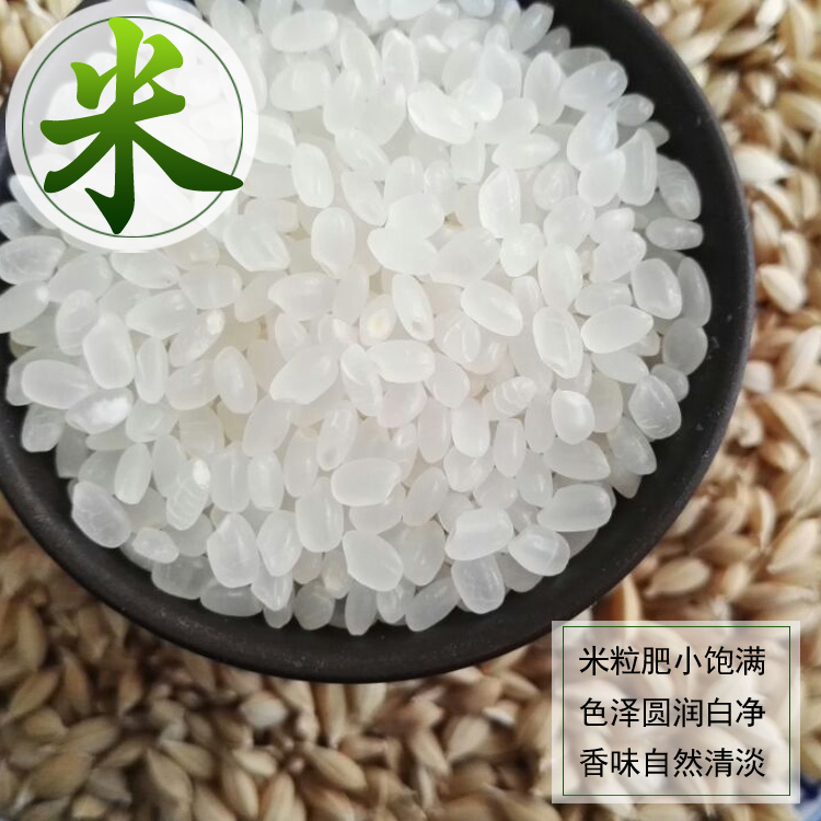 东北吉林大米2025年新米寿司米