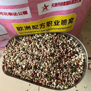 首佳上品鸽粮职业喷窝粮鸽子赛鸽幼鸽种鸽粮饲料5斤10斤50斤包邮