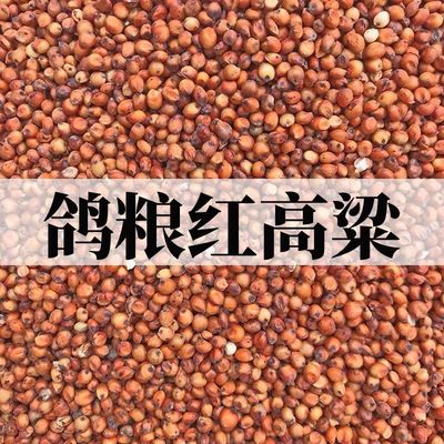 带皮农家食粮酿酒高梁米鸽子粮食