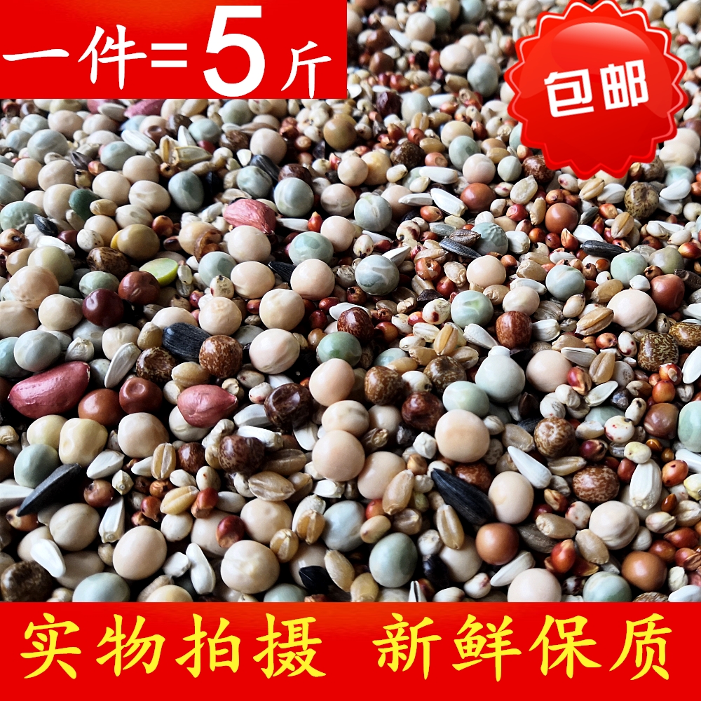 鸽子饲料幼鸽信鸽观赏无玉米鸽粮