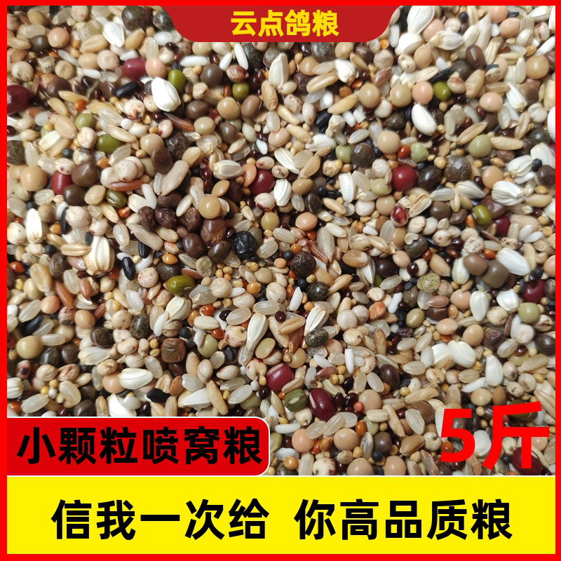 喷窝红高粱小豌豆小麦幼鸽鸽粮食