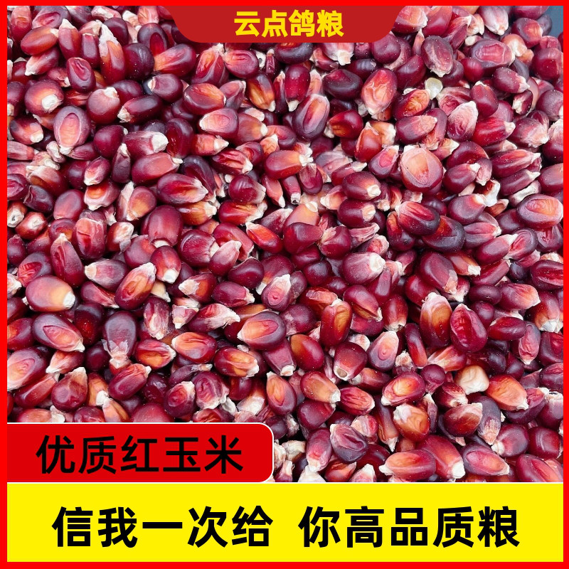 红色小玉米粒喂鸡仓鼠鸽子鸟食专用粮营养丰富红色玉米粒鸽粮鸟粮