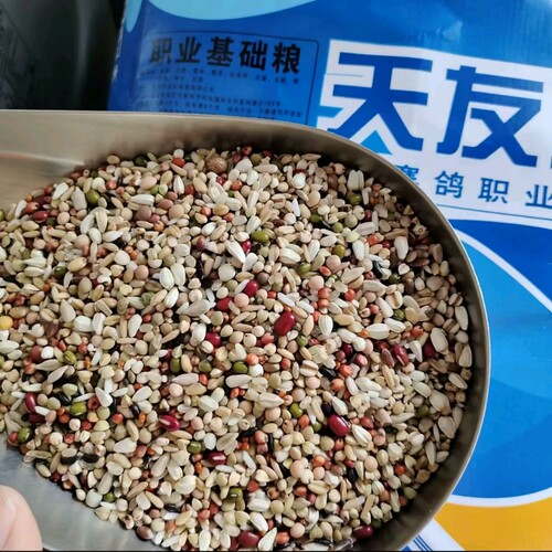 天友万家鸽粮职业基础粮