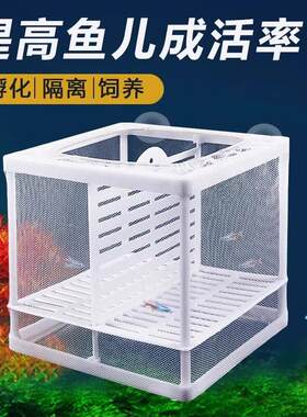 隔离网箱鱼缸繁殖隔离盒隔离网孔雀鱼孵化器热带鱼鱼苗繁殖箱分离