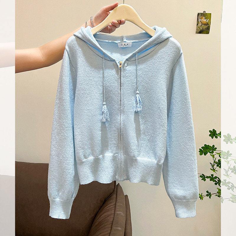 蓝色连帽针织衫独特漂亮毛衣外套女款2026秋冬季多巴胺巨好看上衣