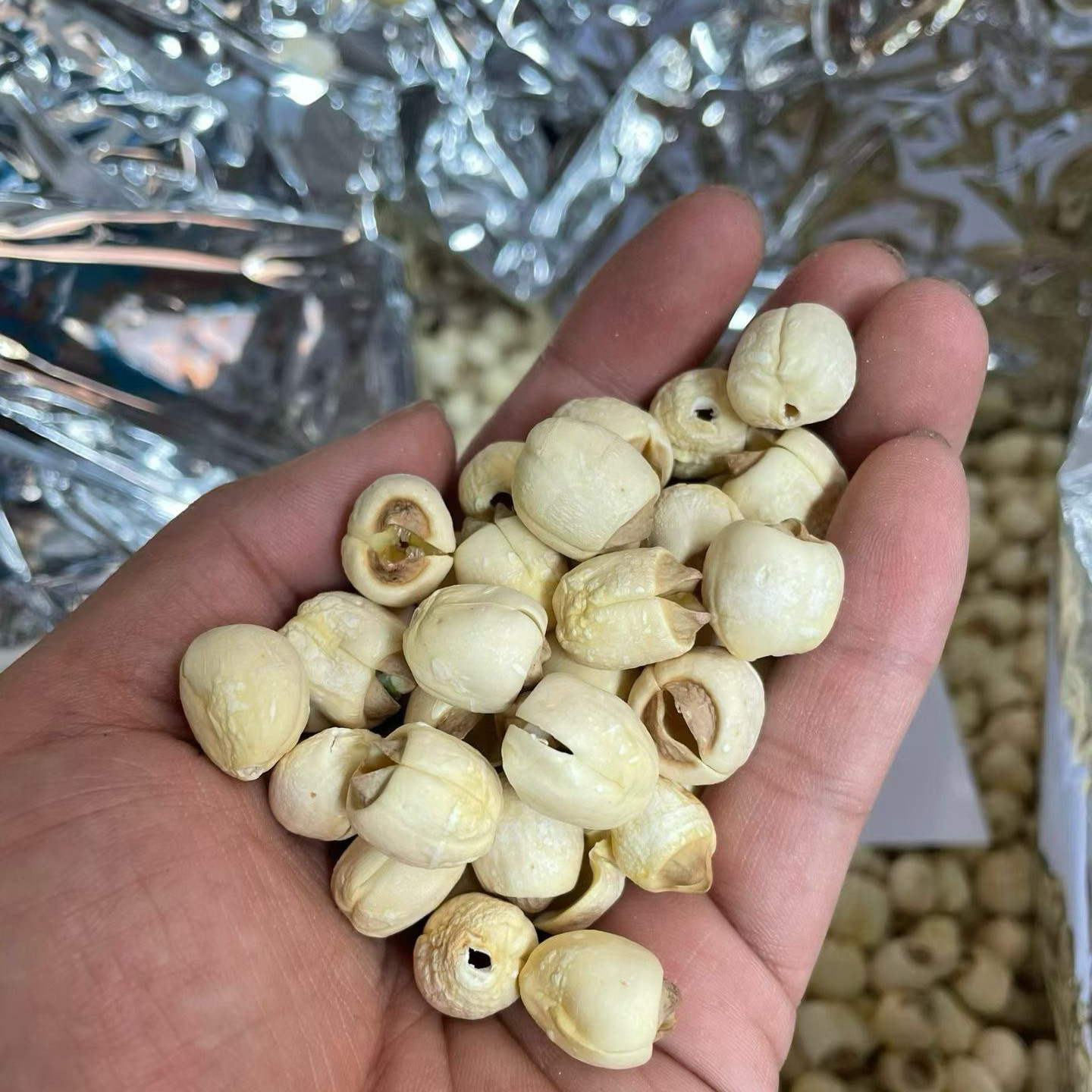 莲子实拍特级干货500g包邮