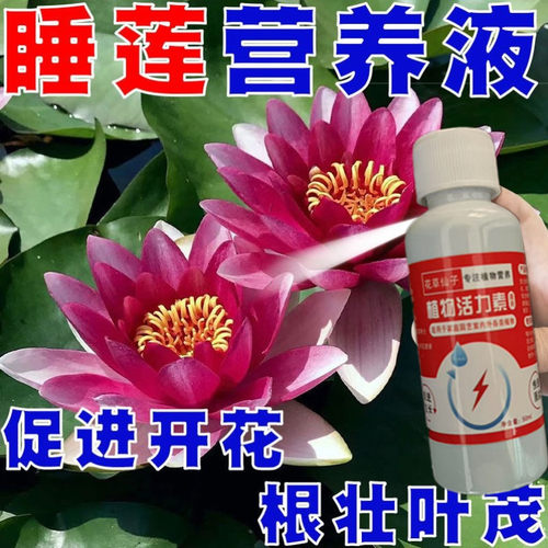碗莲专用营养液碗莲肥料睡莲专用肥睡莲营养液水溶肥莲花荷花肥料