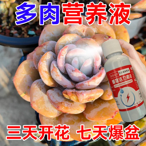 多肉专用营养液爆芽素家用盆栽养花卉绿植物优芽素控释肥料