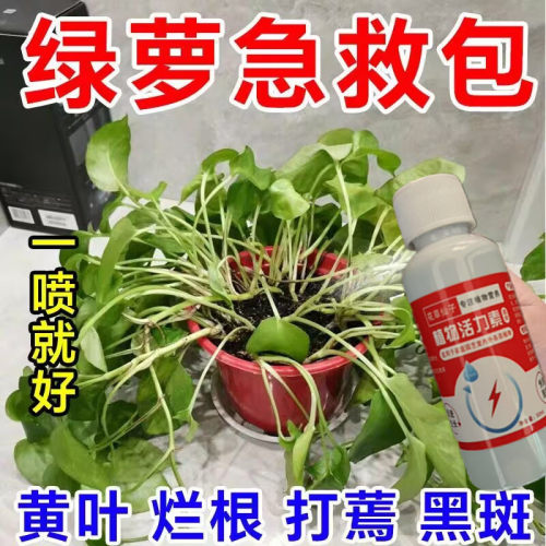 绿萝肥料专用肥盆栽生根发芽促生长防黄叶液体肥绿植浓缩型营养液