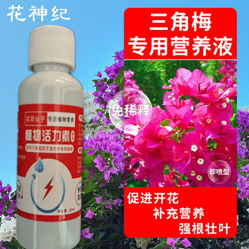 三角梅肥料专用肥 植物营养液 梅花家用花卉养花促开花