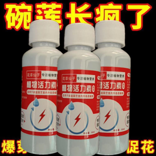 碗莲专用营养液碗莲肥料睡莲专用肥睡莲营养液水溶肥莲花荷花肥料