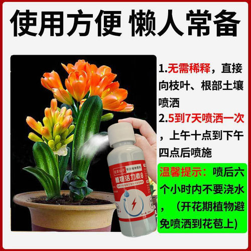 君子兰快速拔箭专用营养液室内盆栽防黄叶枯萎催开花通用型液体肥