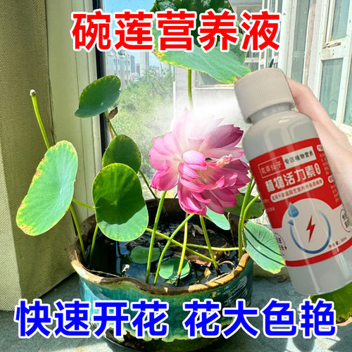 碗莲肥料专用水溶肥碗 莲花营养液水培水养植物荷花莲藕花肥