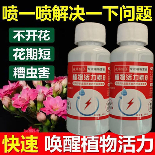 长寿花营养液催苞促花延花期免稀释花肥花卉专用营养液