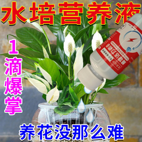 【急救】黄叶病专用药肥料白掌一帆风顺营养液黑斑病烂根专用
