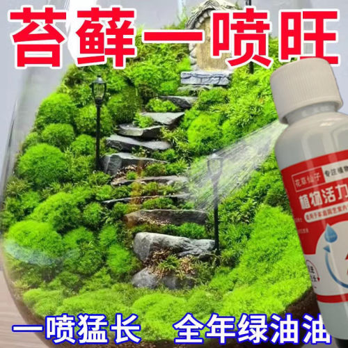 苔藓营养液一喷绿铺面苔藓防枯黄发霉青苔微观造景植物生态瓶专用
