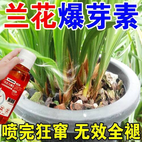 【 一喷爆芽】兰花专用营养液防烂根空根茎生根催芽花液体爆芽素