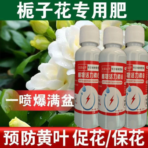 【黄叶急救】栀子花营养液防黄叶不开花生长缓慢掉苞栀子花专用肥