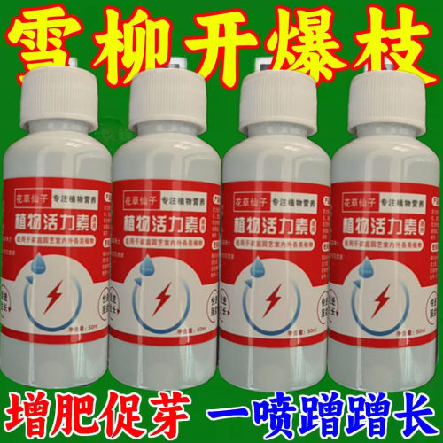 免稀释雪柳专用营养液喷雪花鲜支干支室内水培植物盆栽通用型肥料
