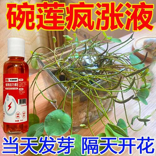 【一喷疯长】碗莲荷花营养液专治烂叶发黑催芽促开花增肥专用肥