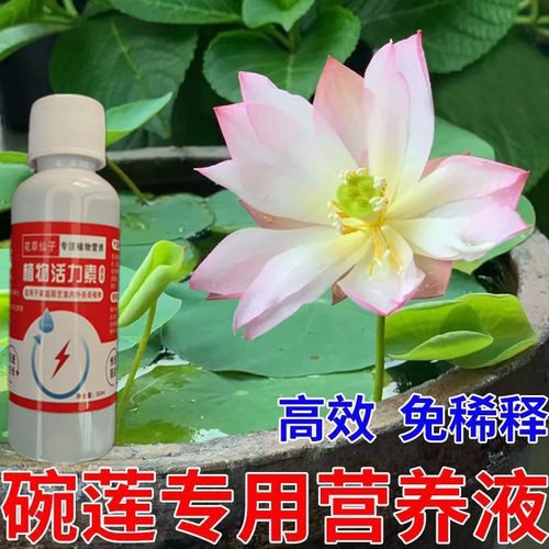 碗莲肥料专用水溶肥碗 莲花营养液水培水养植物荷花莲藕花肥
