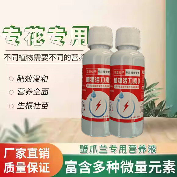 【蟹爪兰急救】蟹爪兰专用营养液四季开花防治叶子发红瘦弱养花肥