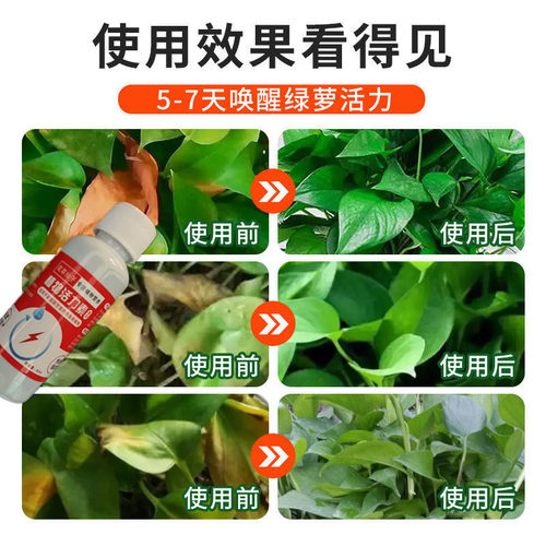 营养液植物通用型花肥发财树富贵竹绿萝水培绿植花卉盆栽养花肥料