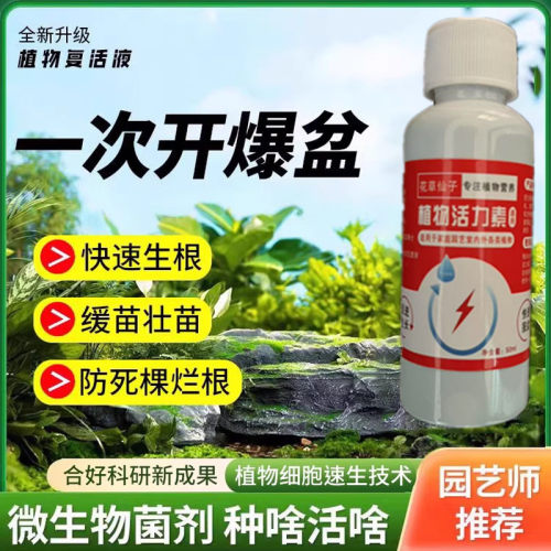 三角梅专用营养液家用盆栽养花种花卉绿植物水培土培通用肥料