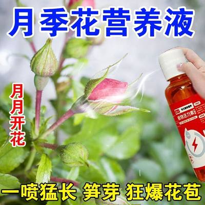 月月开花】月季玫瑰专用营养液防黄叶落叶不开花催花爆花发新芽肥