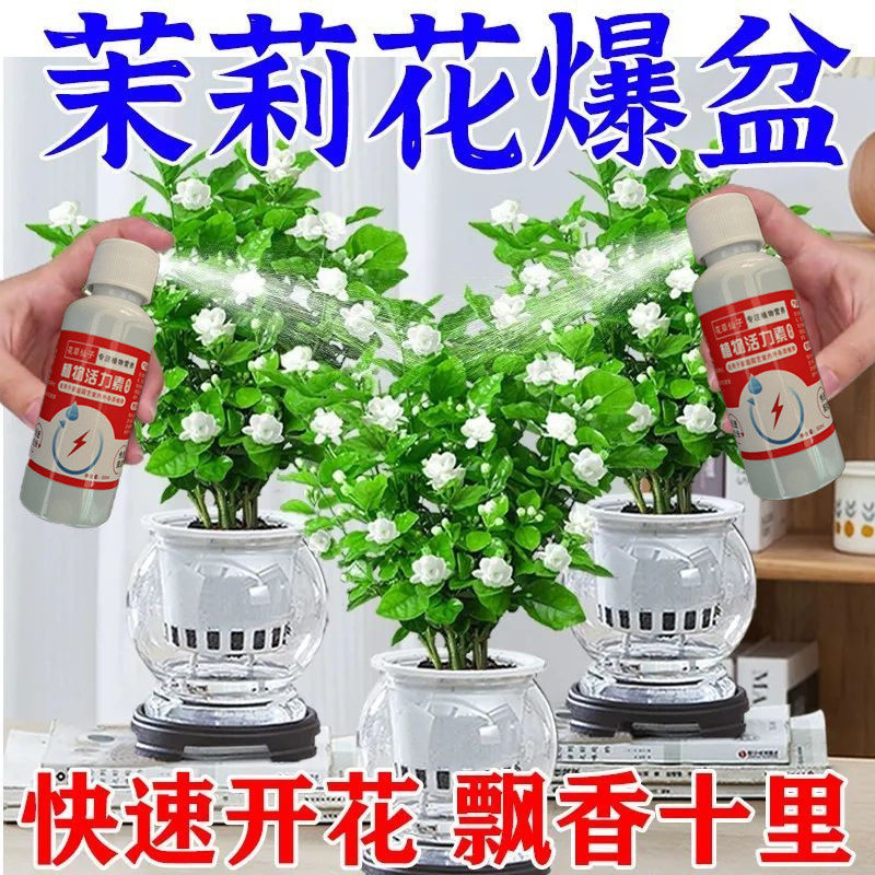 专治茉莉干枯营养液四季黄叶不开花僵苗生长慢黑叶枝条土壤覆盖物