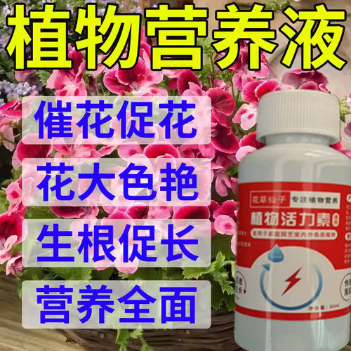 天竺葵营养液专用肥促开花延长花期保花不掉花苞治黄叶烂根催绿