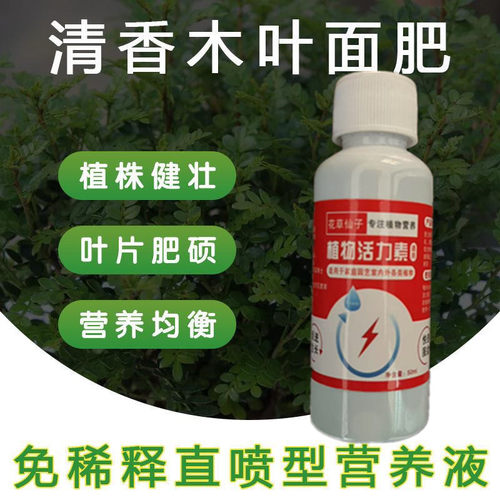 【一喷常绿】清香木专用营养液防黄叶落叶促生长盆栽一喷绿液体肥