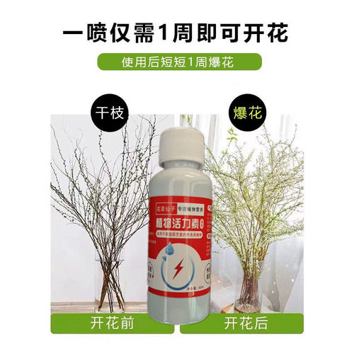 雪柳专用营养液龙柳发芽水培植物促生根肥料室内绿植雪花养花肥料