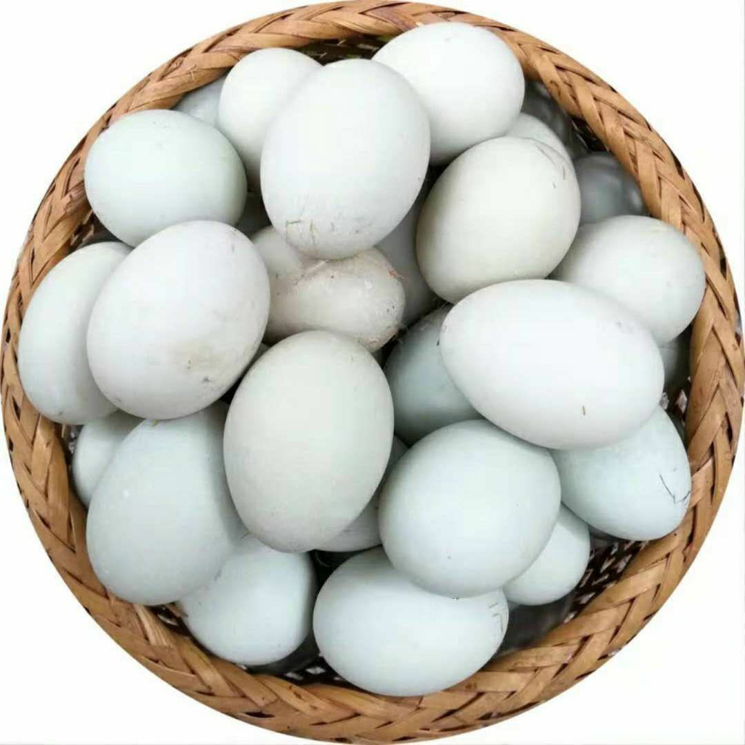 广西北部湾北海生鲜50破损包赔