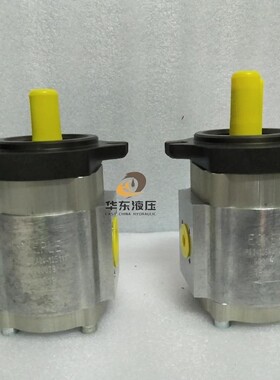 Eckerle 艾可勒EIPS2-025-RA04-12S111注塑机伺服齿轮油泵