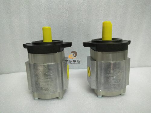 Eckerle 艾可勒EIPS2-025-RA04-12S111注塑机伺服齿轮油泵