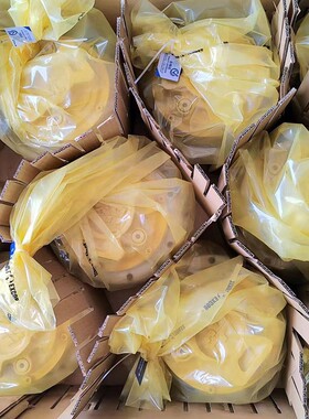 波克兰MS50-0-111-R50-2A10-EJ00液压马达煤矿机械船舶乳化液马达