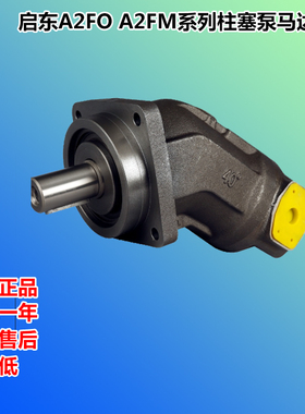华德 力士乐款A2FO/A2FM23 56 107 125 160 180/61W-VAB010柱塞泵