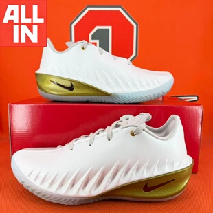 IB6728 Nike耐克GT 马年限定低帮气垫缓震实战篮球鞋 4男款 100 Cut