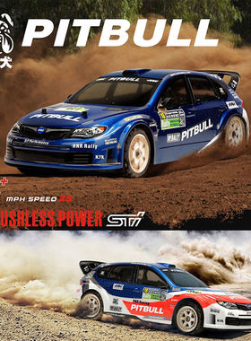 HNR鸿诺比特犬H9804SR越野拉力车1/10电动四驱RC车模型PITBULL