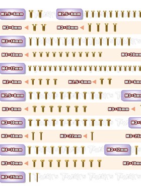 T-WORK'S  AE RC8B4 B4E 全车镀钛金螺丝GSS-RC8B4