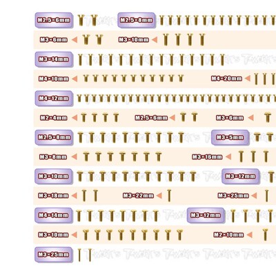 T-WORK'S  AE RC8B4 B4E 全车镀钛金螺丝GSS-RC8B4