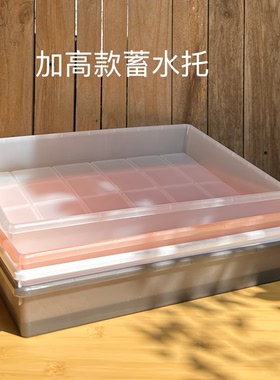 【加高款】半透明大号托盘多肉绿植蓄水托播种花盆接水盘架浸盆盘