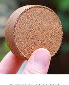 育苗土块热植营养花卉蔬菜瓜果压缩椰糠猫草低盐泡发透气种植垫料