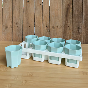 加厚八角盆多肉塑料花盆育苗盆扦插叶插整理托架托盘 口径7cm