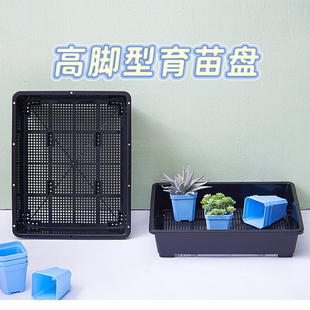 高脚透气多肉育苗盘叶插盆长方形托盘扦插盆整理托播种盆叶插盘