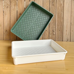 【透气不积水】育苗盆多肉育苗盘芽菜盆叶插盆小苗播种扦插盆透气