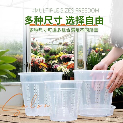蝴蝶兰专用花盆空气柱透明青山盆透气控根盆塑料圆形防烂根花盆