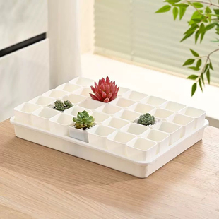 【口径4cm】迷你多肉塑料方盆拇指肉锥生石花育苗播种整理浸水盘